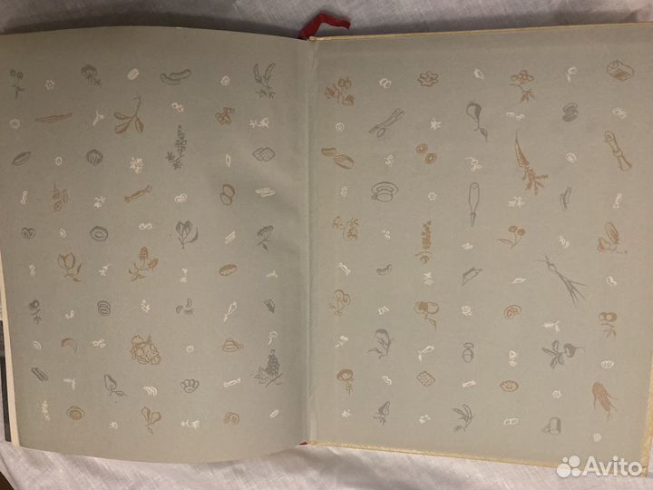 Книга детское питание СССР