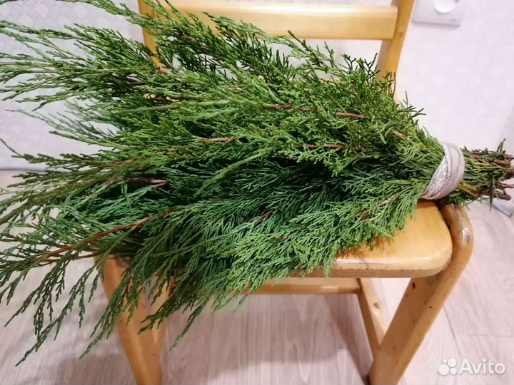 Банный веник из можжевельника казацкого