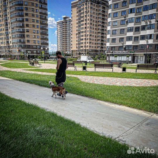 Кинолог. Зоопсихолог