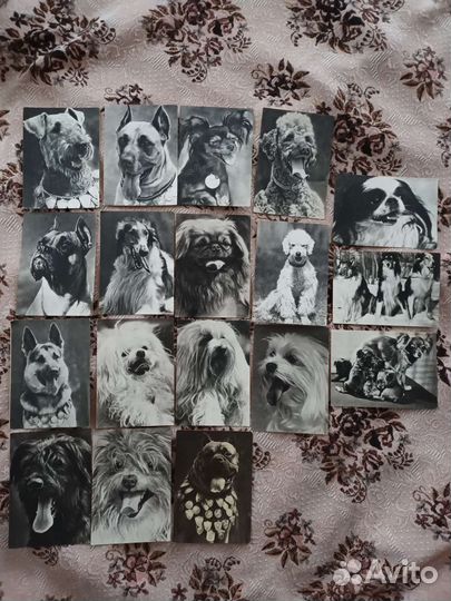 Открытки СССР 68-69г