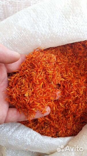 Сущеная Алча / Альбухара / Маш