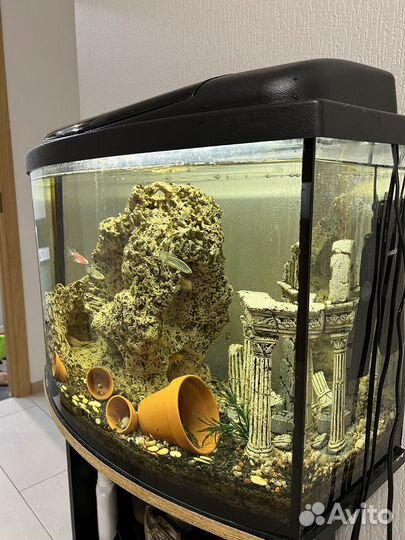Аквариум с тумбой 60л