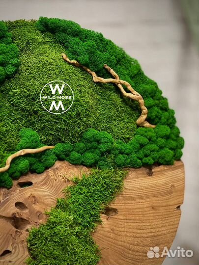 Панно из стабилизированного мха и спила дерева