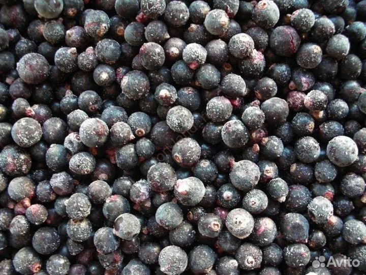 Малина замороженная