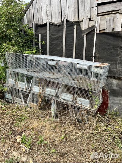 Клетка для животных