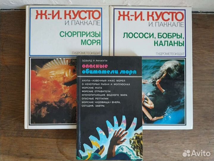 Судовое дело мореплавание путешествия география