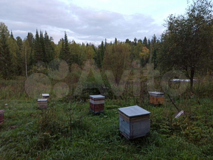 Участок 1,23 га (СНТ, ДНП)