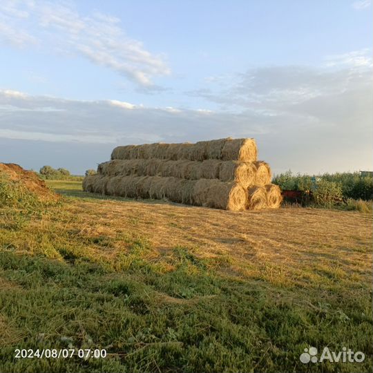 Сено в тюках