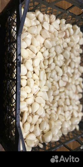 Очищенный, переработан и замороженный чеснок