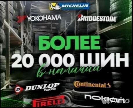 Gislaved NordFrost 100 205/55 R16