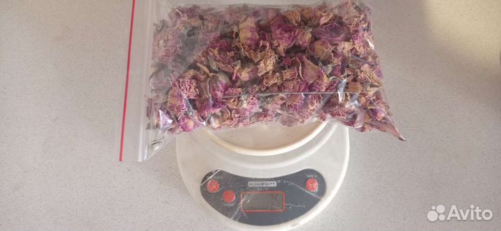 Чайная роза. Сухоцвет. Саженцы