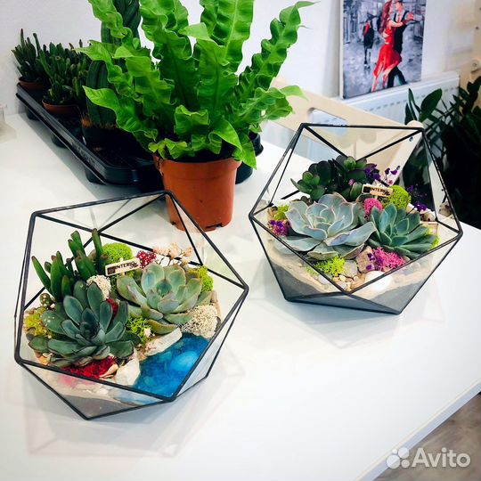 Флорариумы в наличии