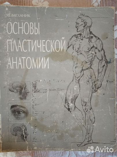 Пластическая анатомия для художников