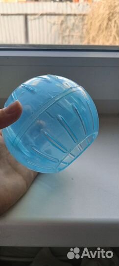 Шарик для хомячки прогулок