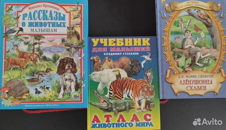 Рассказы и стихи про животных