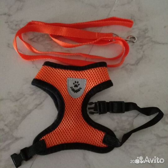 Шлейка с поводком