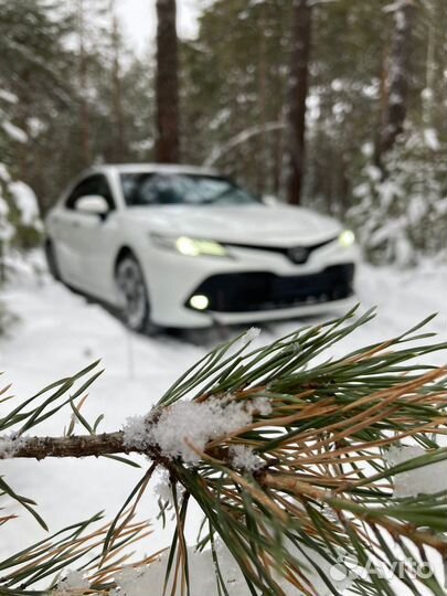 Такси межгород трансфер