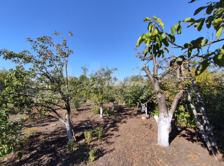 Участок 6 сот. (СНТ, ДНП)