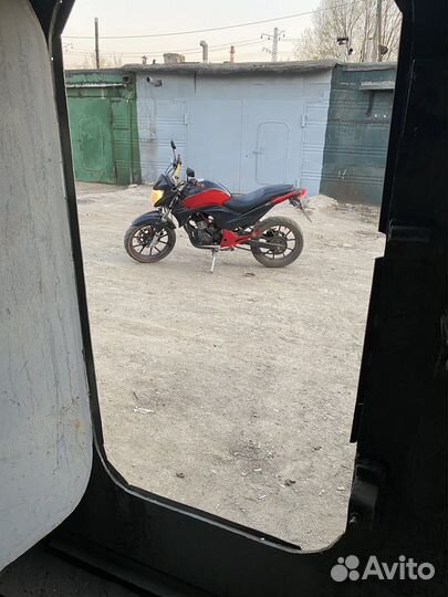 Winner 250