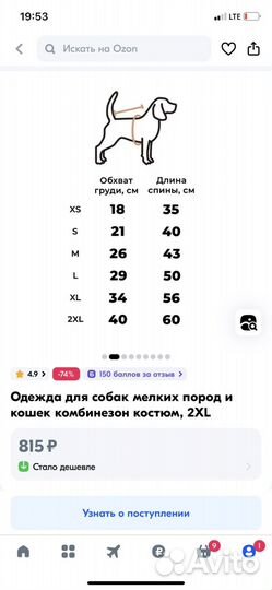 Одежда для средних собак