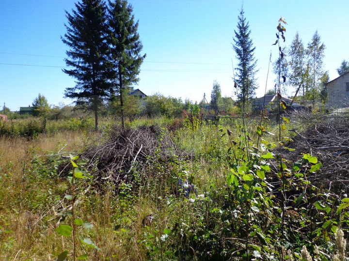 Участок 5,5 сот. (СНТ, ДНП)