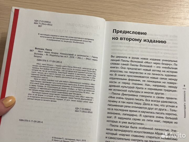 Паола Волкова, Мост через бездну