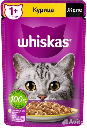 Whiskas влажный корм для кошек желе, с курицей