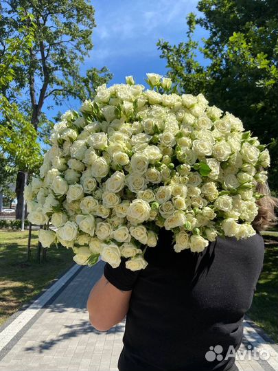Кустовые розы 