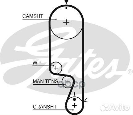 Ремень грм mitsubishi 1.3-1.6 03-06 (109x25) 55