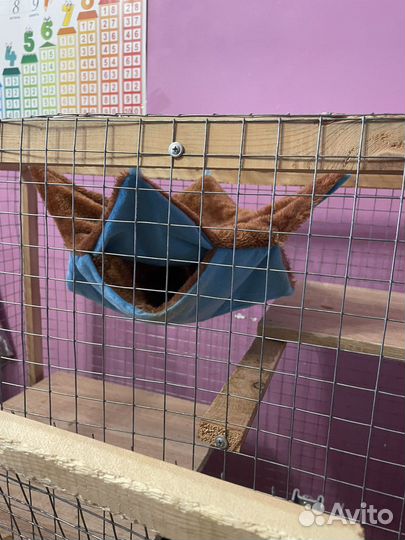 Клетка для шиншиллы бу