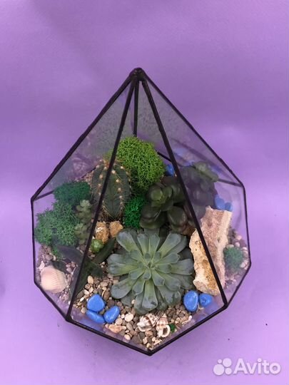 Любимому учителю