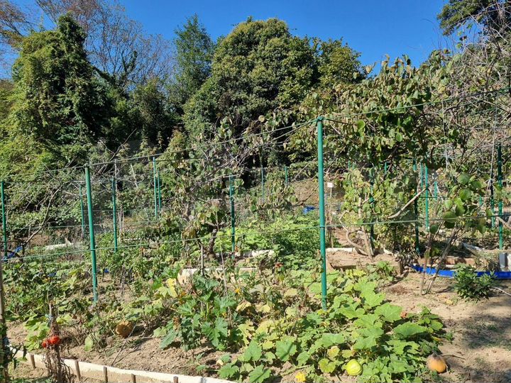 Участок 9 сот. (ИЖС)