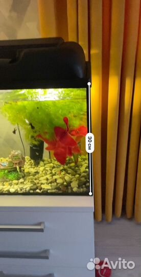 Продам Аквариум На 50 литров