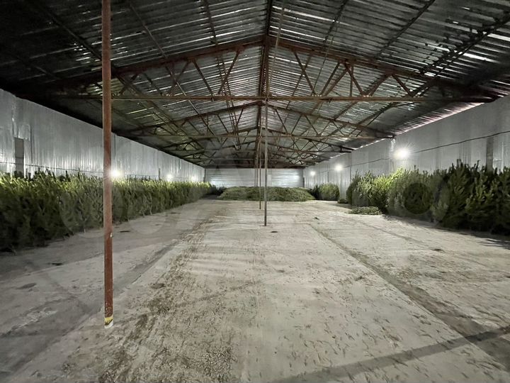 Склад на пандусе 1000 м²