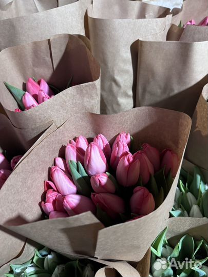 Тюльпаны опт Краснодар к 8 марта