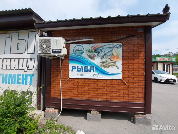 Рыбный магазин