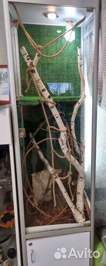 Террариум для рептилий бу