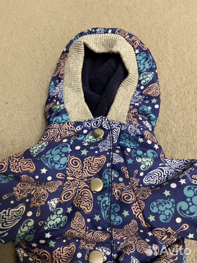 Костюмчик для собачки