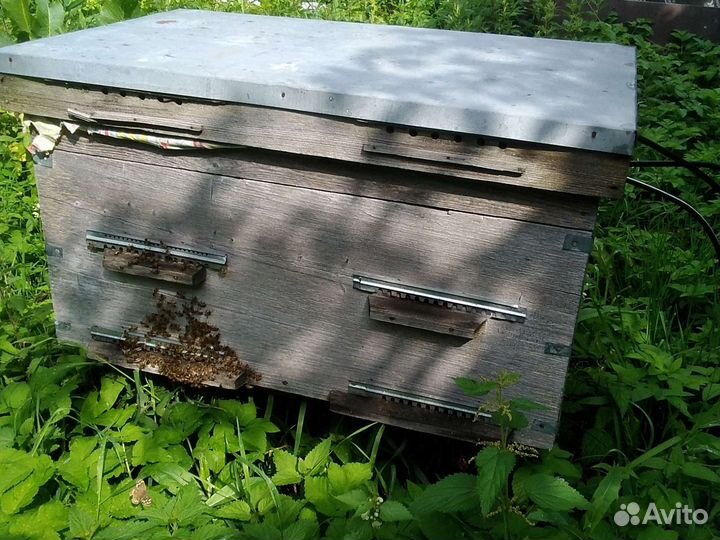 Ульи лежаки с пчелами и пустые