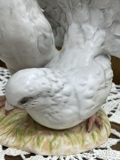 Goebel голуби