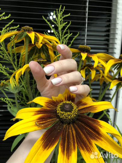 Маникюр женский и мужской