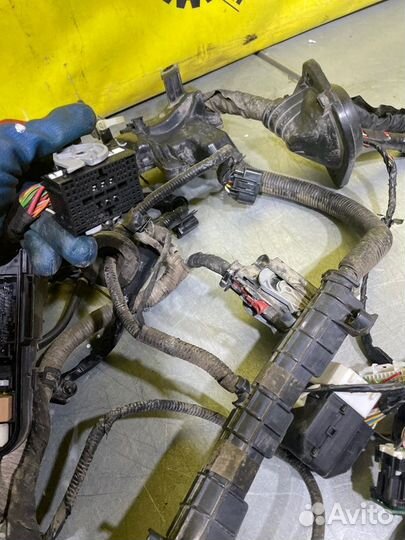 Проводка подкапотная Kia Ceed