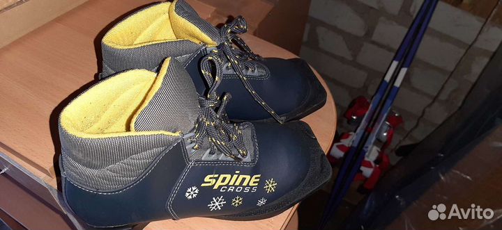 Лыжные ботинки