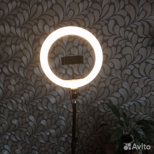 Кольцевая лампа