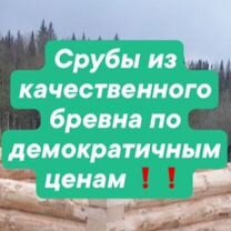 Мешают пни на участке: как выкорчевать их вручную, разрушить огнем, водой и химией?