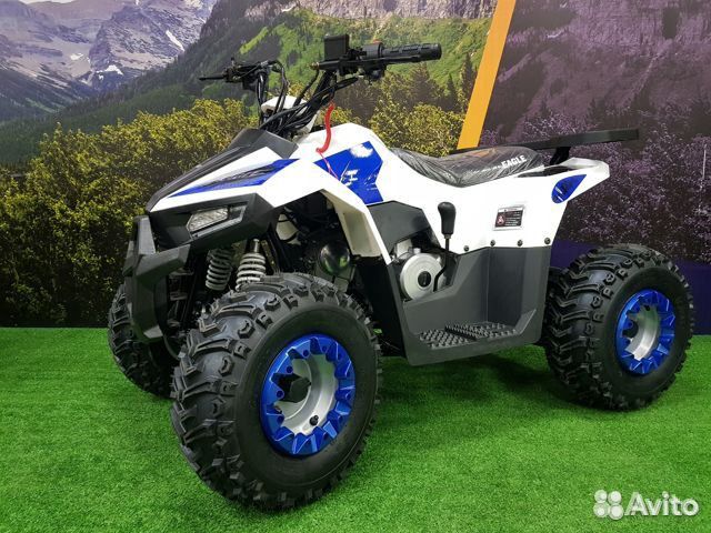Motoland Eagle 110(2023)
