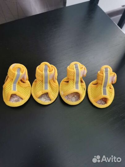 Сандалии для собак