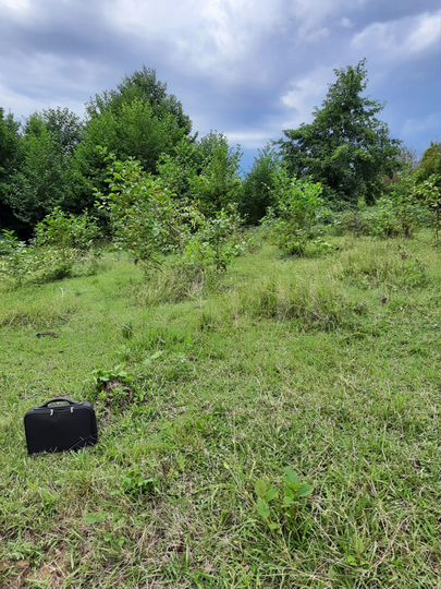 Участок 5,3 сот. (СНТ, ДНП)