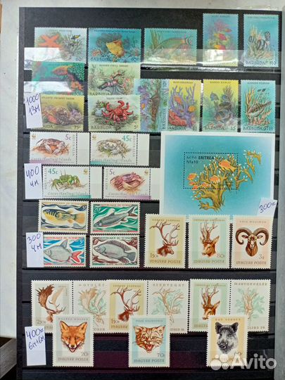 Серии марок флора,фауна,собаки,рыбы,птицы