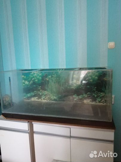 Аквариум
